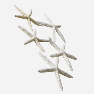 5 White Starfish Size 5"- 6" Beach Wedding Nautical Decor